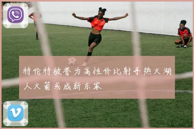 特伦特被誉为高性价比射手热火湖人火箭或成新东家