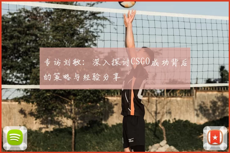 专访刘敏：深入探讨CSGO成功背后的策略与经验分享