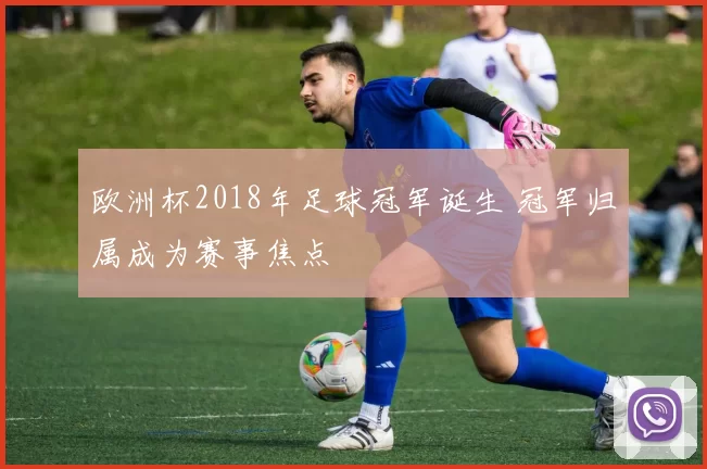 欧洲杯2018年足球冠军诞生 冠军归属成为赛事焦点