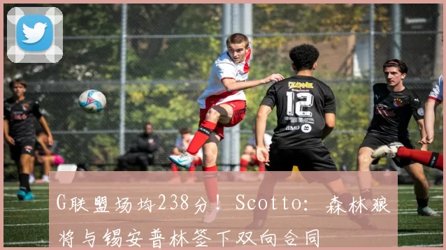 G联盟场均238分!Scotto:森林狼将与锡安普林签下双向合同