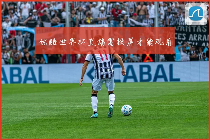 优酷世界杯直播需投屏才能观看