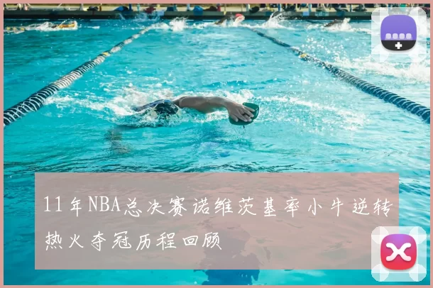 11年NBA总决赛诺维茨基率小牛逆转热火夺冠历程回顾