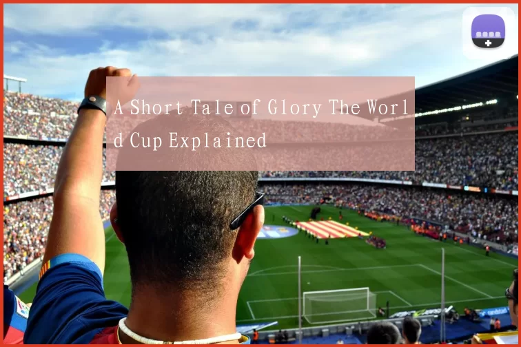 A Short Tale of Glory The World Cup Explained
